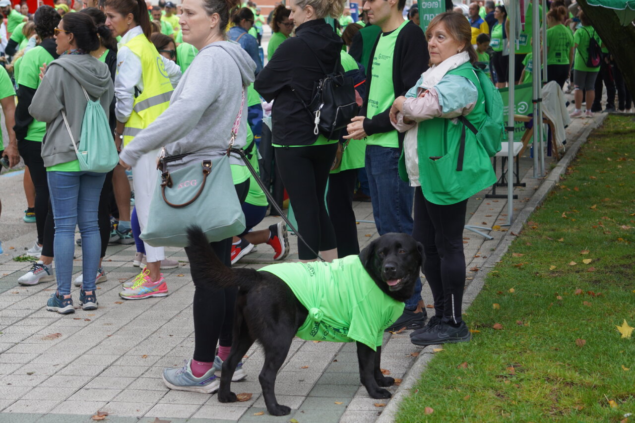 Participantes en la carrera contra el cáncer vistiendo camisetas verdes