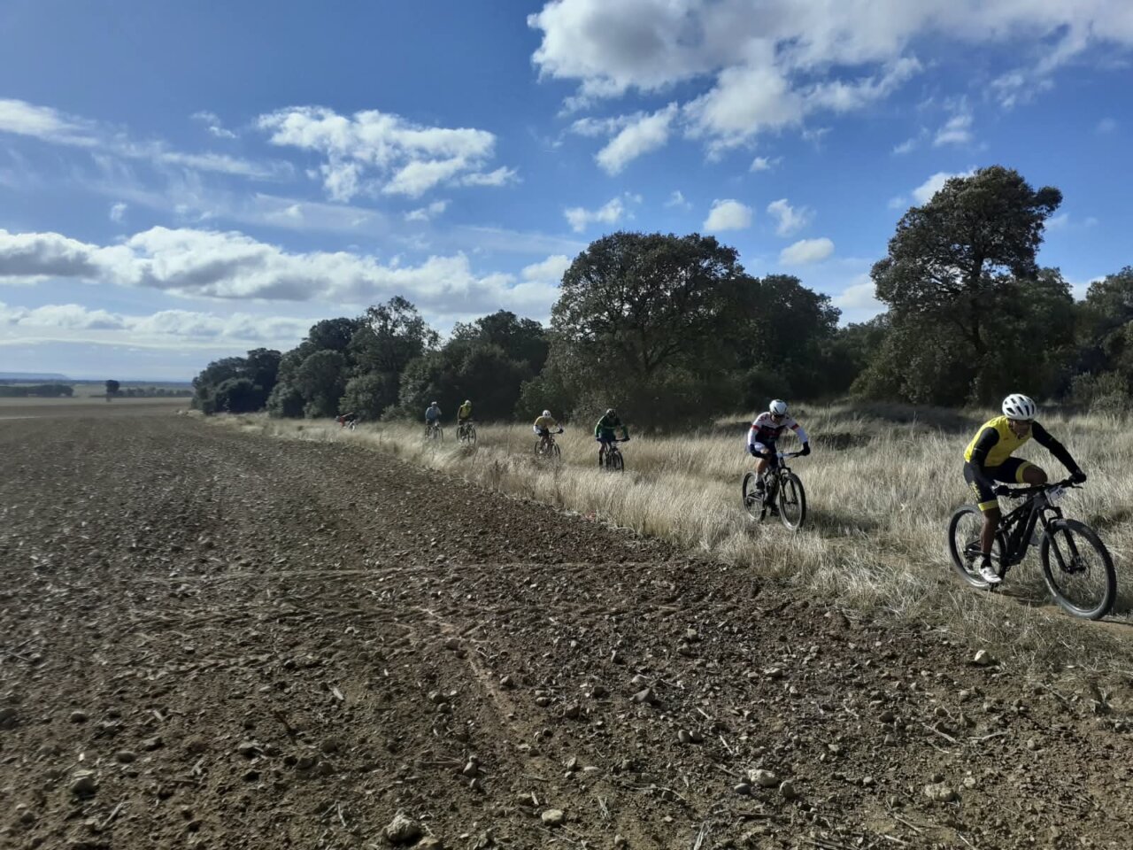 Varios ciclistas recorren un camino de tierra junto a hierba alta y árboles.