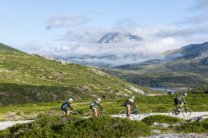 Cuatro ciclistas en una ruta de gravel en Palencia con montañas al fondo