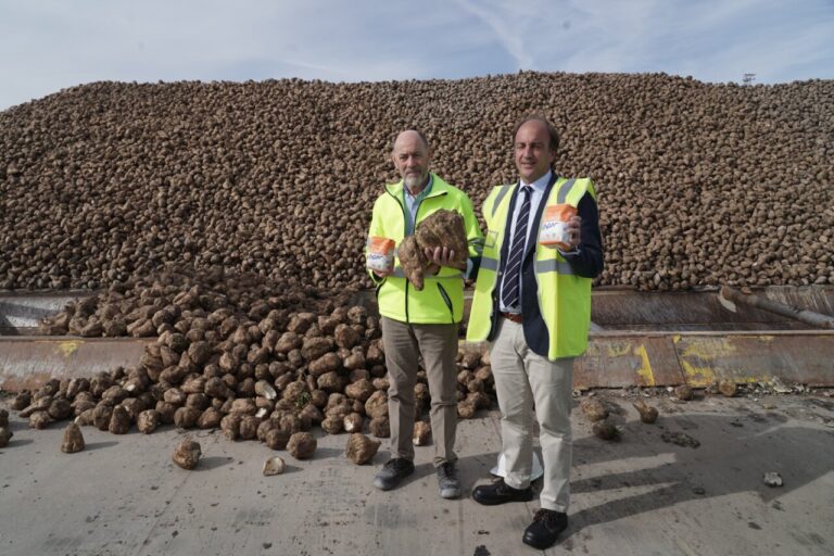 Dos hombres con chalecos reflectantes muestran remolachas ante una gran pila de tubérculos.