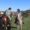 Dos jinetes a caballo se saludan en un recinto con más caballos y asistentes.