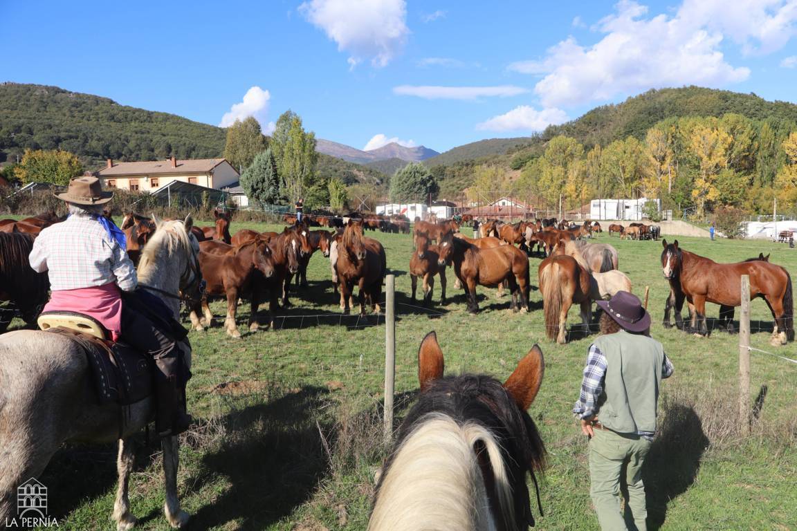 Varios caballos en un cercado, con dos personas montadas y montañas al fondo.