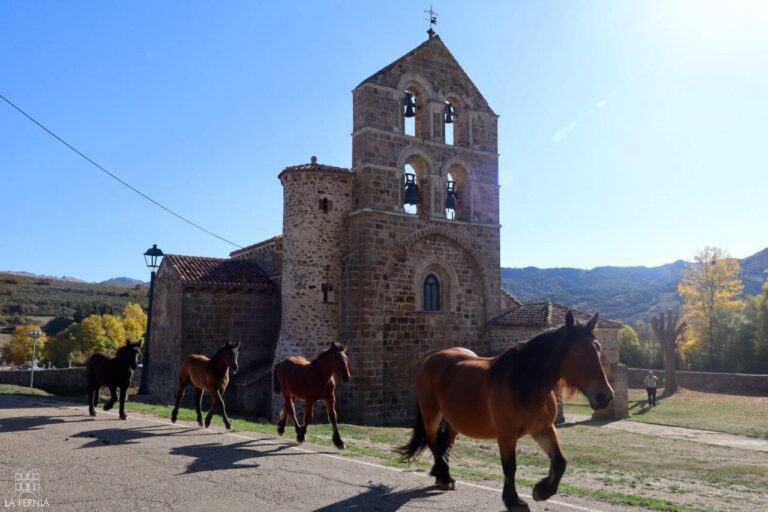 Caballos caminando frente a la colegiata de San Salvador en La Pernía