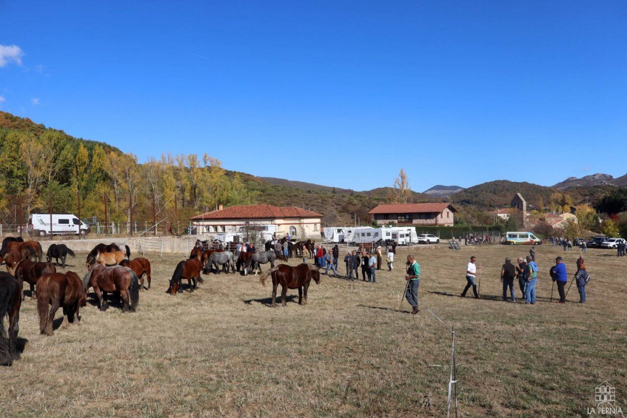 Grupo de personas y caballos en un evento rural en La Pernía
