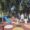 Varias personas junto a una estructura de juegos infantiles en un parque arbolado