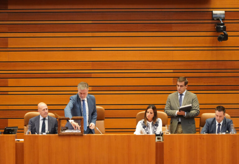 Votación secreta en el pleno de las Cortes de Castilla y León