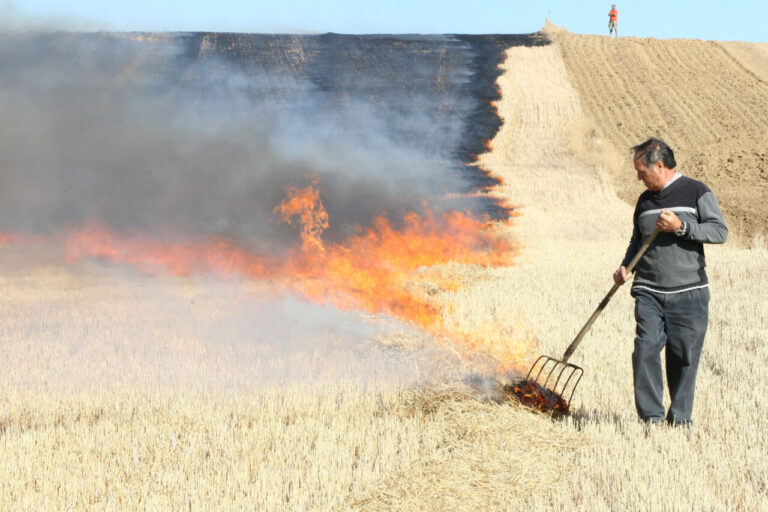 Hombre realizando quema controlada de rastrojos en un campo agrícola