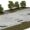 Render de un skatepark con bowl, rampas, barandillas y árboles alrededor