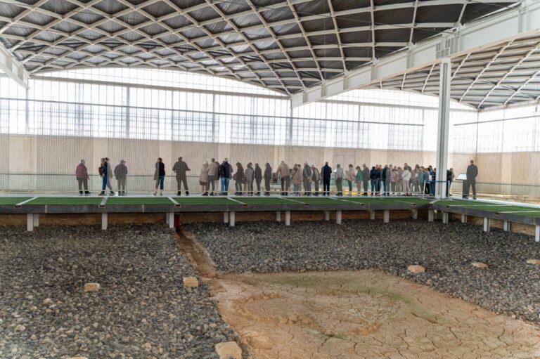 Visitantes observan restos arqueológicos de la Villa Romana La Olmeda bajo una cubierta moderna.